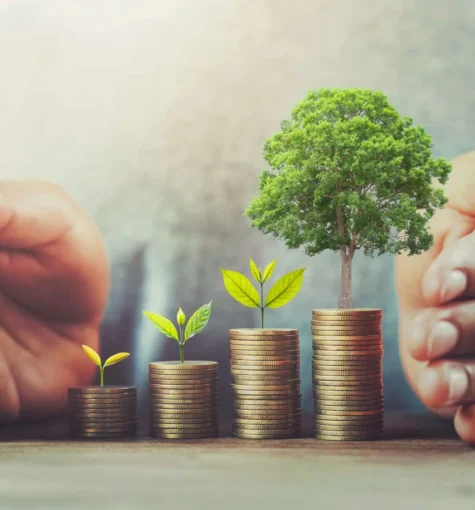 businessman-protection-money-on-table-with-tree.-concept-saving-scaled